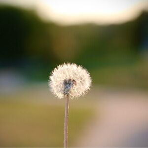 Meet your Posher, ModernCloset25!